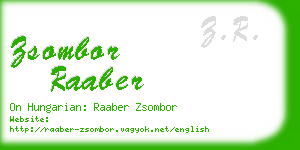 zsombor raaber business card